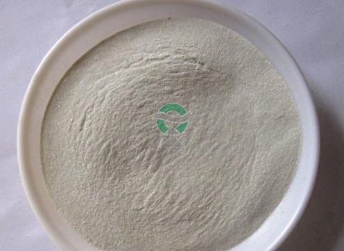 Mica